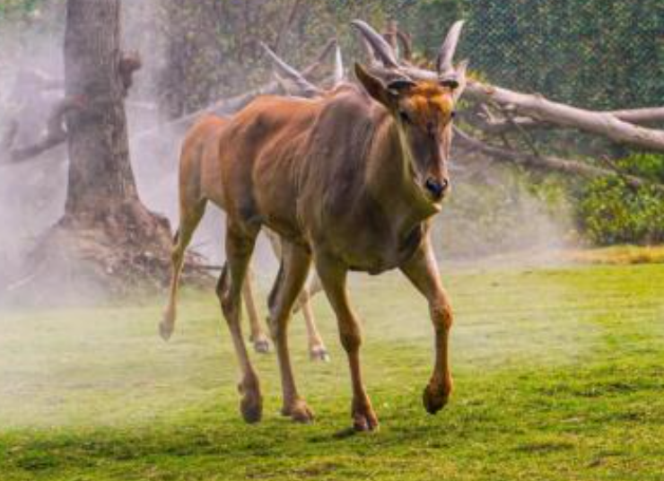 河南省焦作峰林峽景區景區使用的電子門票系統有哪些功能？ (2).png