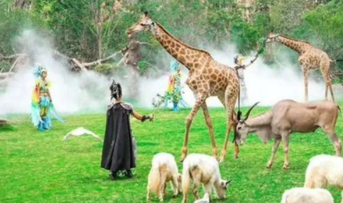 河南省平頂山天龍池景區景區如何利用景區售票系統激發游客二次消費？ (2).png