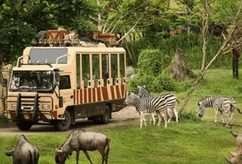 河南省平頂山天龍池景區景區如何利用景區售票系統激發游客二次消費？ (3).png