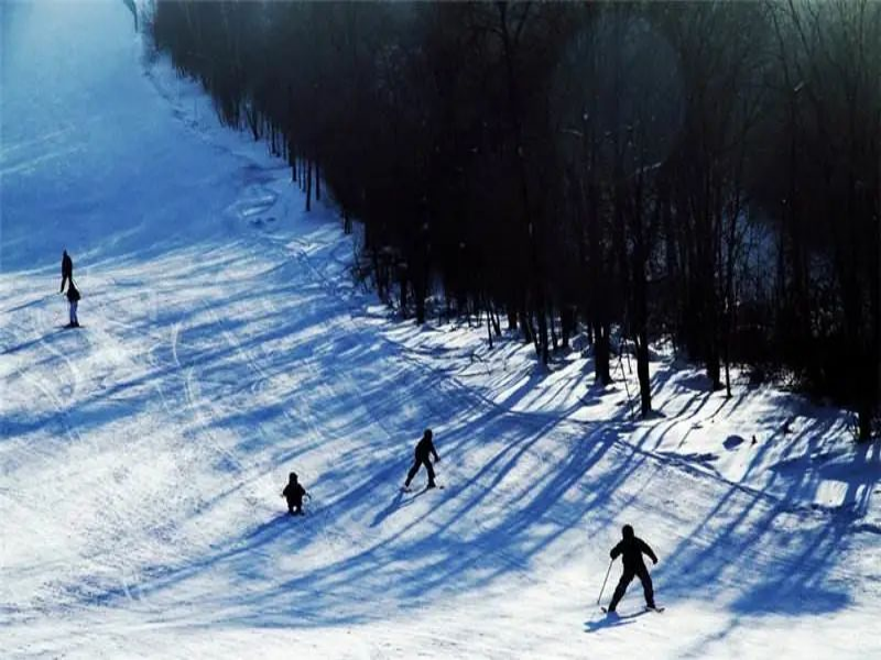 黑龍江牡丹江牡丹峰滑雪場園中園系統公司.png