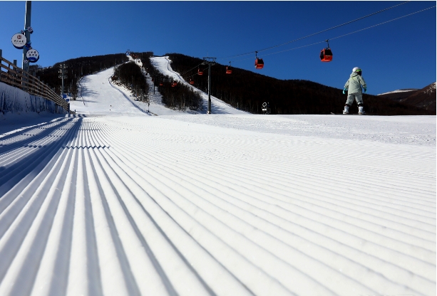 1697797151383548.png 河北邯鄲市滑雪場綜合管理系統服務商1.png