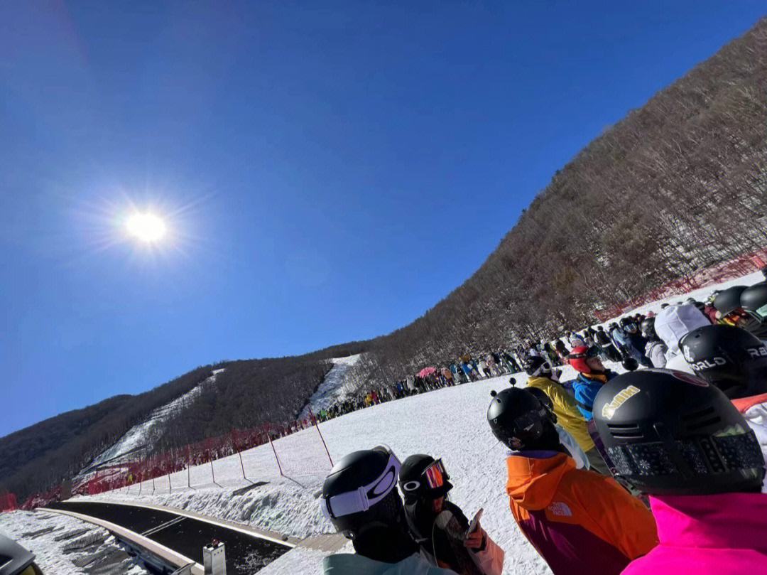 1697797197945044.jpeg 1697797197945044.jpeg