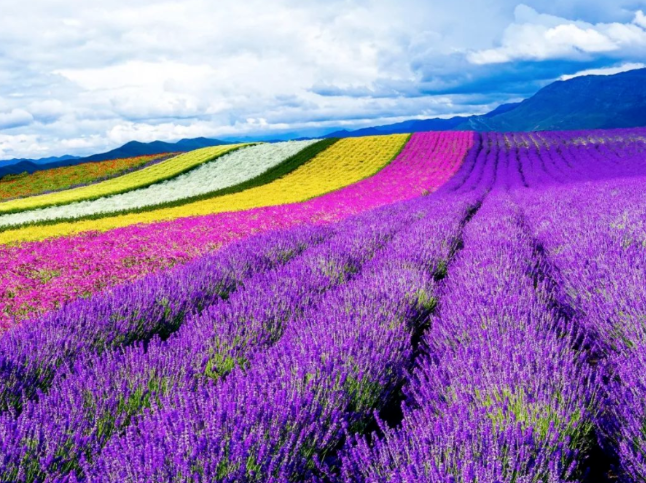 1699024156695672.png 河北保定定州野三坡滑雪場手環一卡通功能功能.png