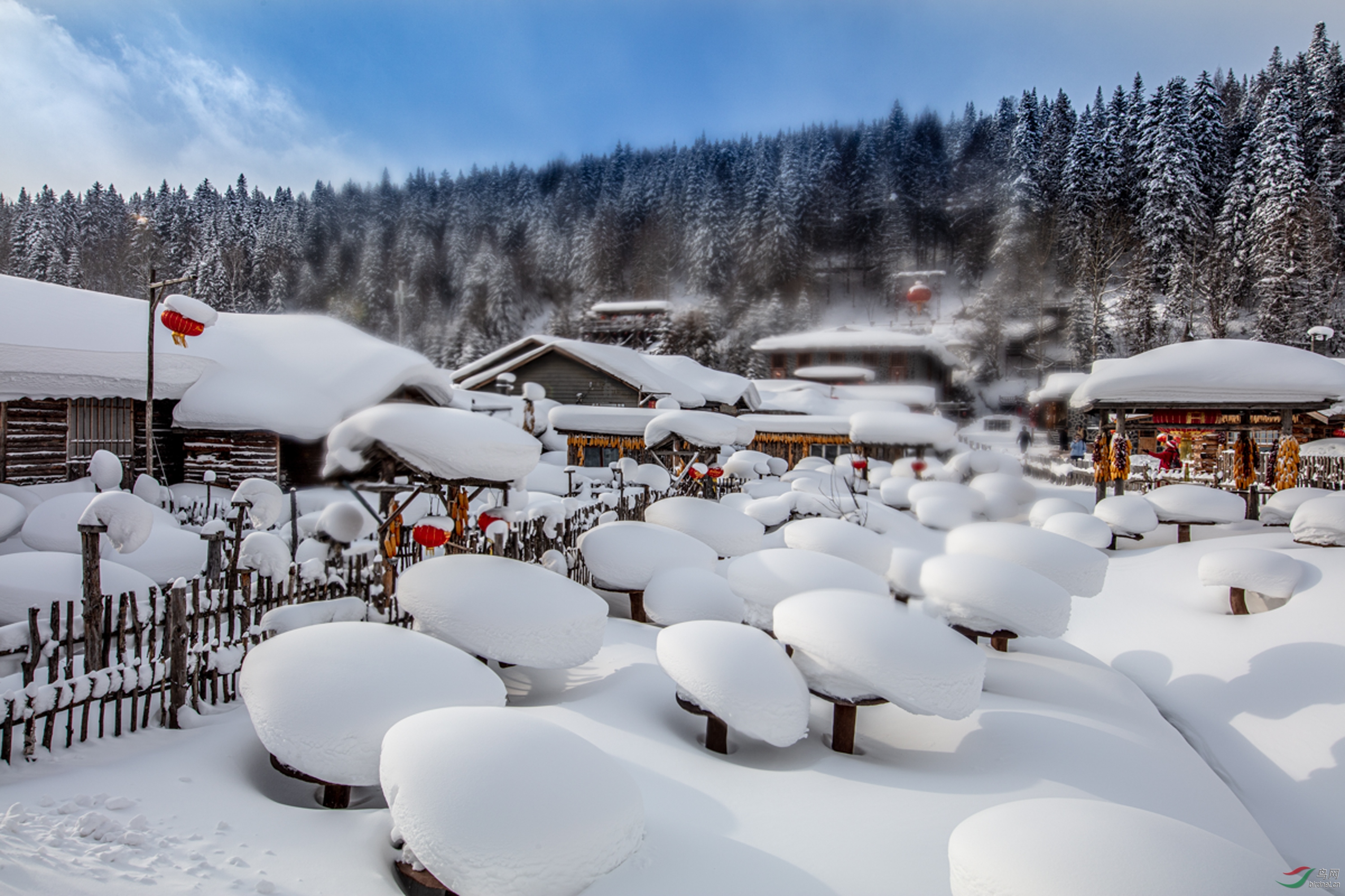 1699067126796273.jpg 1699067126796273.jpg