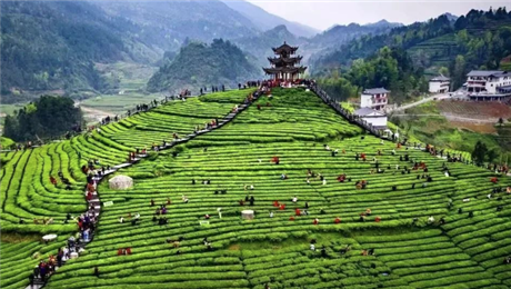 景區票務系統特點.png 景區票務系統優勢.png