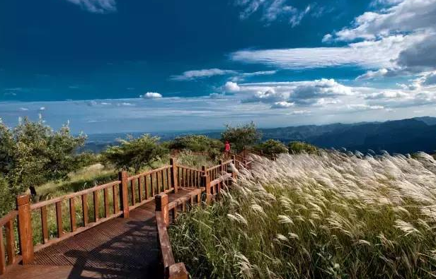 智慧景區(qū)售票渠道管理.png 售票渠道的多元化管理.png