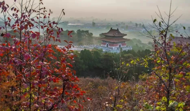 河北省唐山市清東陵景區(qū)綜合管理系統(tǒng)的方案.png