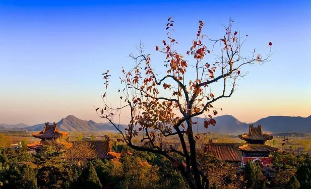 河北省唐山市清東陵景區(qū)綜合管理系統(tǒng)的價(jià)格.png
