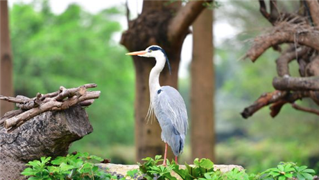 旅游景區(qū)票務(wù)小程序系統(tǒng)方案.png 旅游景區(qū)票務(wù)小程序系統(tǒng)功能.png