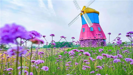 游樂(lè)園門(mén)票管理系統(tǒng)閘機(jī)應(yīng)用.jpg 游樂(lè)園門(mén)票管理系統(tǒng)功能.jpg