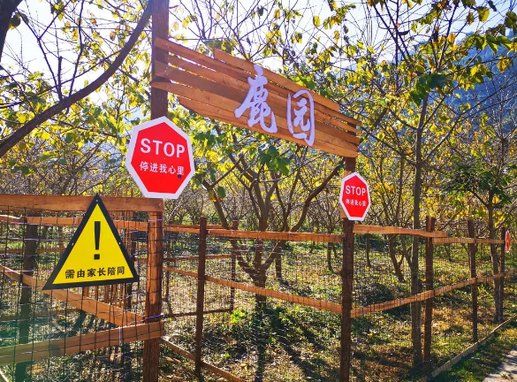 1705660032356367.png 廣西南寧水錦山莊大峽谷綜合票務(wù)管理系統(tǒng)的方案.png