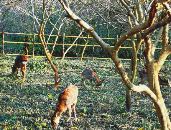 1705660045275524.png 廣西南寧水錦山莊大峽谷綜合票務(wù)管理系統(tǒng)的價格.png