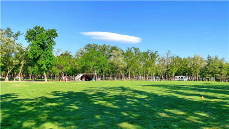 1706078835294463.jpg 1655173299931090.jpg