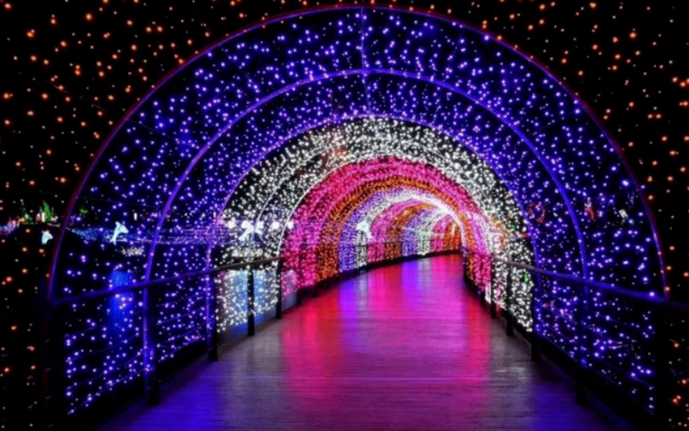 1706405814443477.png 浙江省杭州市上城區(qū)皋亭山景區(qū)票務(wù)管理系統(tǒng)功能.PNG