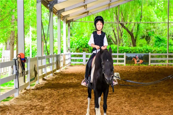 兒童馬術綜合管理系統功能.jpg 兒童馬術綜合管理系統方案.jpg