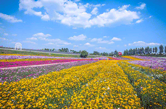 四川成都紫頤香薰山谷景區智慧景區小程序方案.png