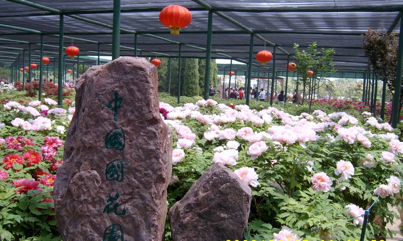 河南洛陽牡丹花園票務(wù)管理系統(tǒng)多少錢.jpeg