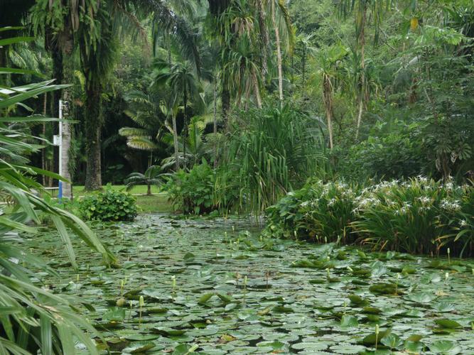 云南中科院西雙版納熱帶植物園票務(wù)管理系統(tǒng)價格 (1).jpeg