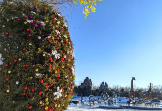 北京野生動物園景區(qū)智能導(dǎo)覽系統(tǒng)價格.png