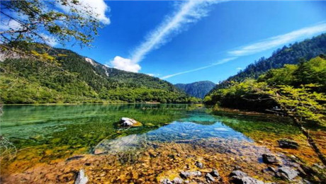 旅游景區二消項目票務系統多樣化管理方案.jpg