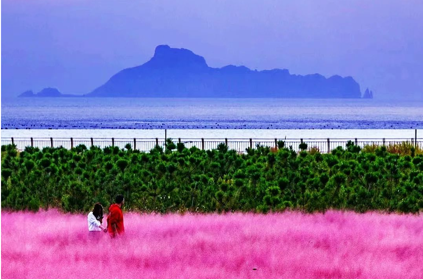 山東煙臺蓬萊長島景區智能導覽系統價格.png