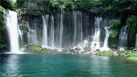 景區智能票務系統售檢票管理流程.png