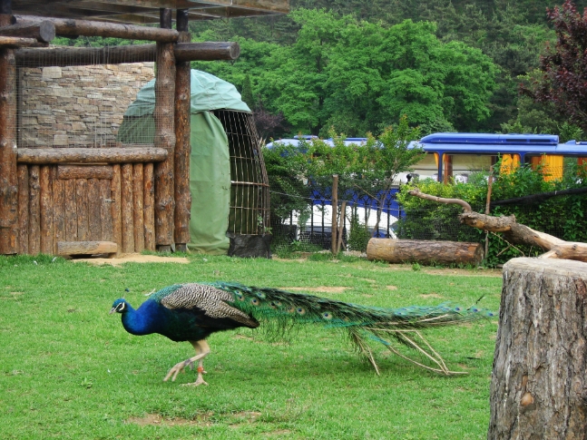河北張家口觀鳥園景區OTA對接管理系統多少錢.png