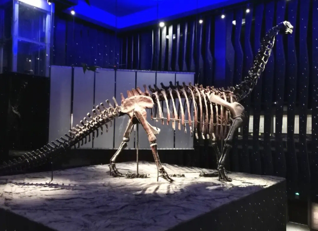 1720768752693430.png 內蒙古博物院智能導覽管理系統方案1.png