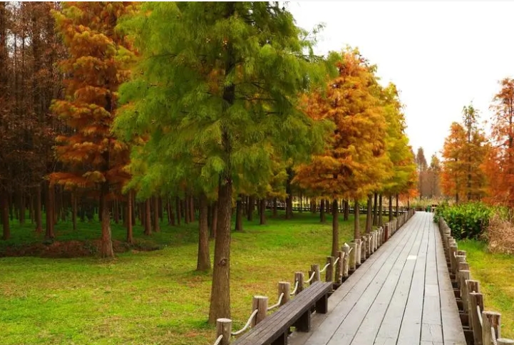 青海西寧郊野公園智能導(dǎo)覽管理系統(tǒng)開發(fā)公司.png