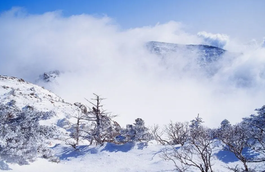 四川成都西嶺雪山景區(qū)綜合票管理系統(tǒng)功方案.png