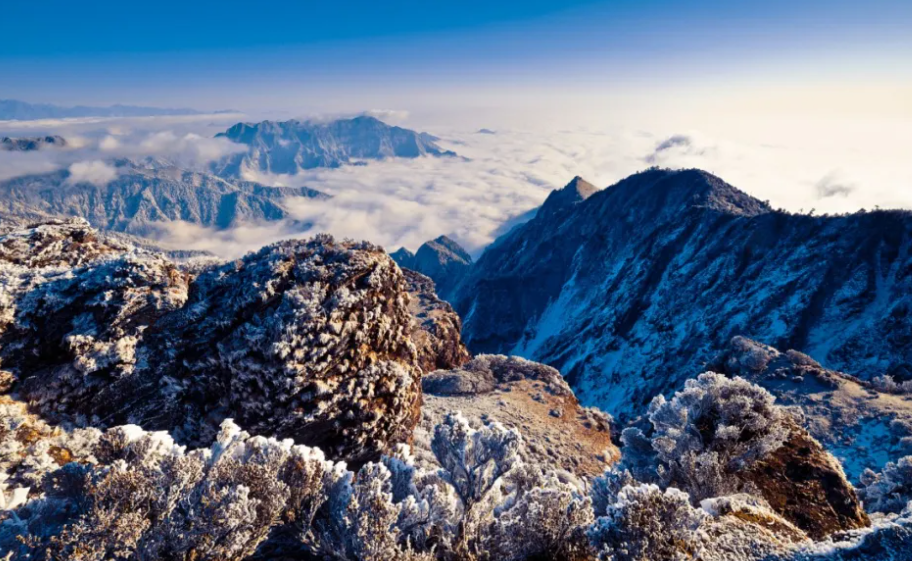 四川成都西嶺雪山景區(qū)綜合票管理系統(tǒng)公司.png