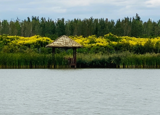 1725003872309664.png 青海省西寧市西寧郊野公園門票分銷管理系統哪家強.png