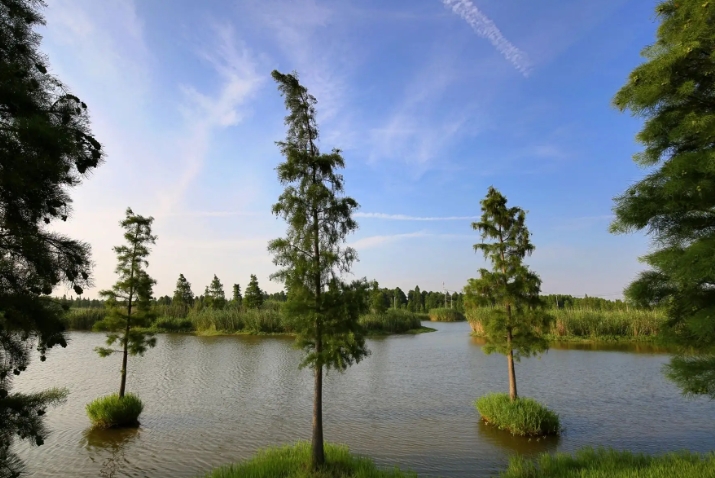 1725004811930986.png 青海省西寧市西寧郊野公園簡介及需求.png