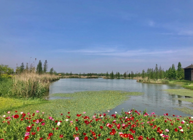 1725004849818582.png 青海省西寧市西寧郊野公園智能導覽系統價格.png