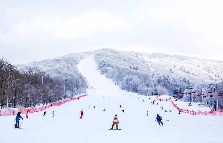 1731650120279214.png 吉林北大湖滑雪場(chǎng)教練預(yù)約管理系統(tǒng)解決方案.png