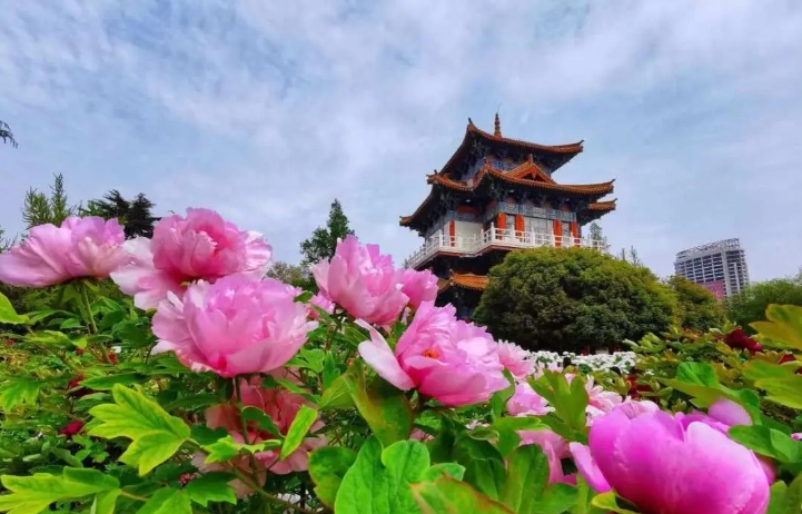 河南洛陽王城公園票務(wù)OTA對(duì)接管理系統(tǒng)價(jià)格?.png