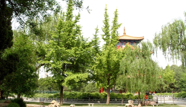 河南洛陽王城公園票務(wù)OTA對(duì)接管理系統(tǒng)哪家公司強(qiáng)?1.png