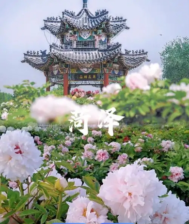 山東菏澤市中國牡丹園景區(qū)電子票分銷管理系統(tǒng) 10 大功能.png