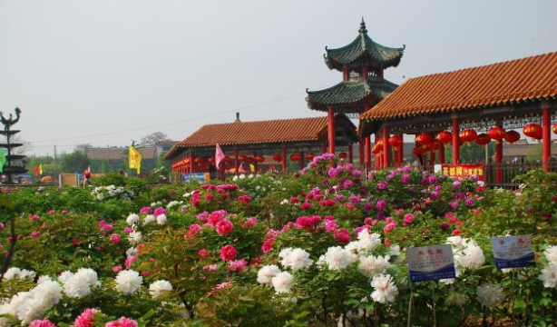 山東曹州百花園景區(qū)電子票多業(yè)態(tài)管理系統(tǒng)價(jià)格.png