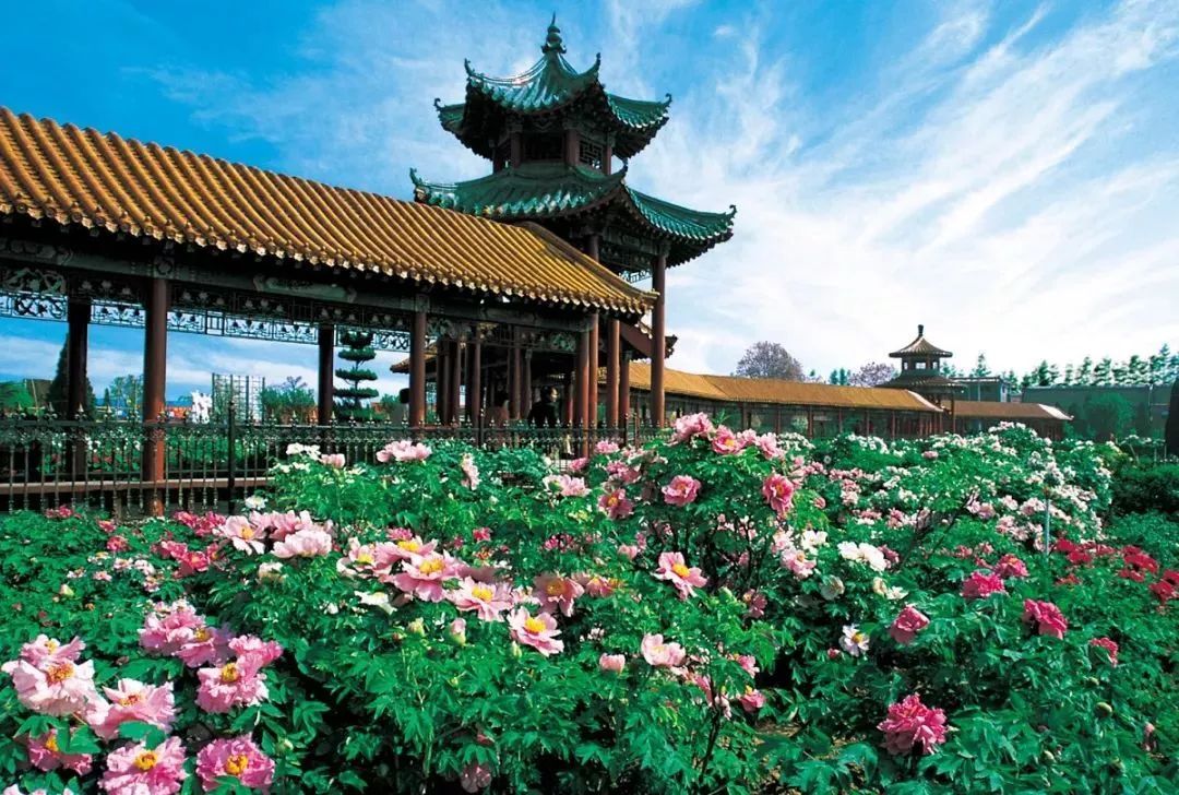 山東曹州百花園景區(qū)電子票多業(yè)態(tài)管理系統(tǒng)介紹.jpeg