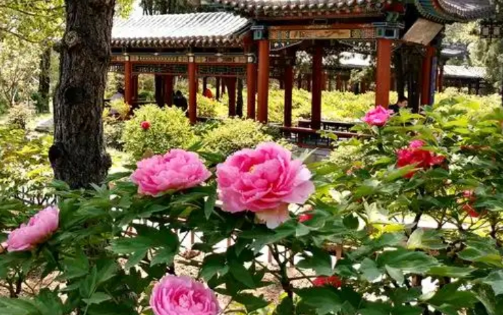 山西太原?晉祠牡丹園景區(qū)電子票自動分賬管理系統(tǒng) 6 大功能1.png