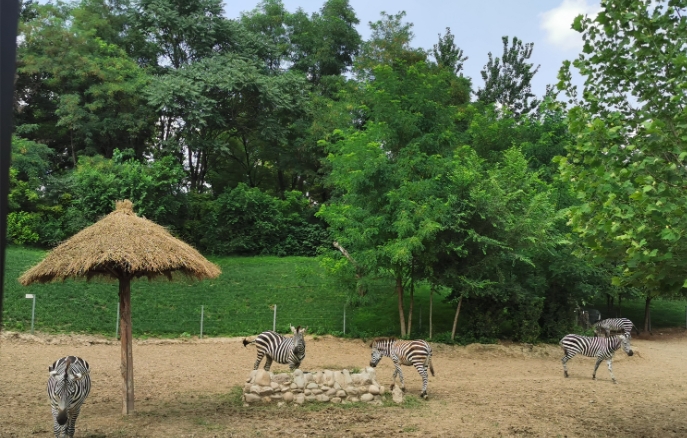 北京野生動(dòng)物園景區(qū)電子票 OTA 對(duì)接系統(tǒng)價(jià)格.png