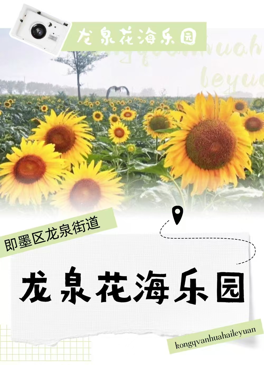 小泥人攜手青島龍泉花海：智慧化系統(tǒng)賦能“夢幻仙境”，開啟高效游覽新時代