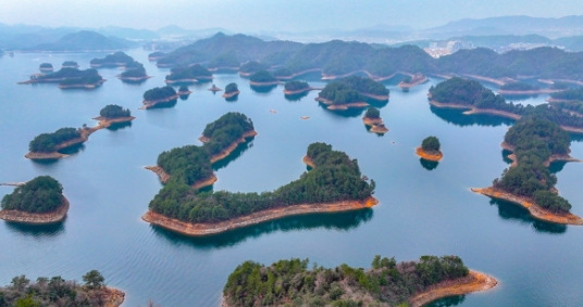 1754631828810906.png 1754631828810906.png