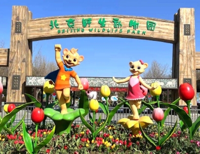 1755226663115055.png 北京野生動物園智能導覽系統解決方案1.png