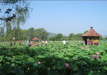 1755244836580434.png 大連千年古蓮園景區綜合業態管理系統多少錢1.png