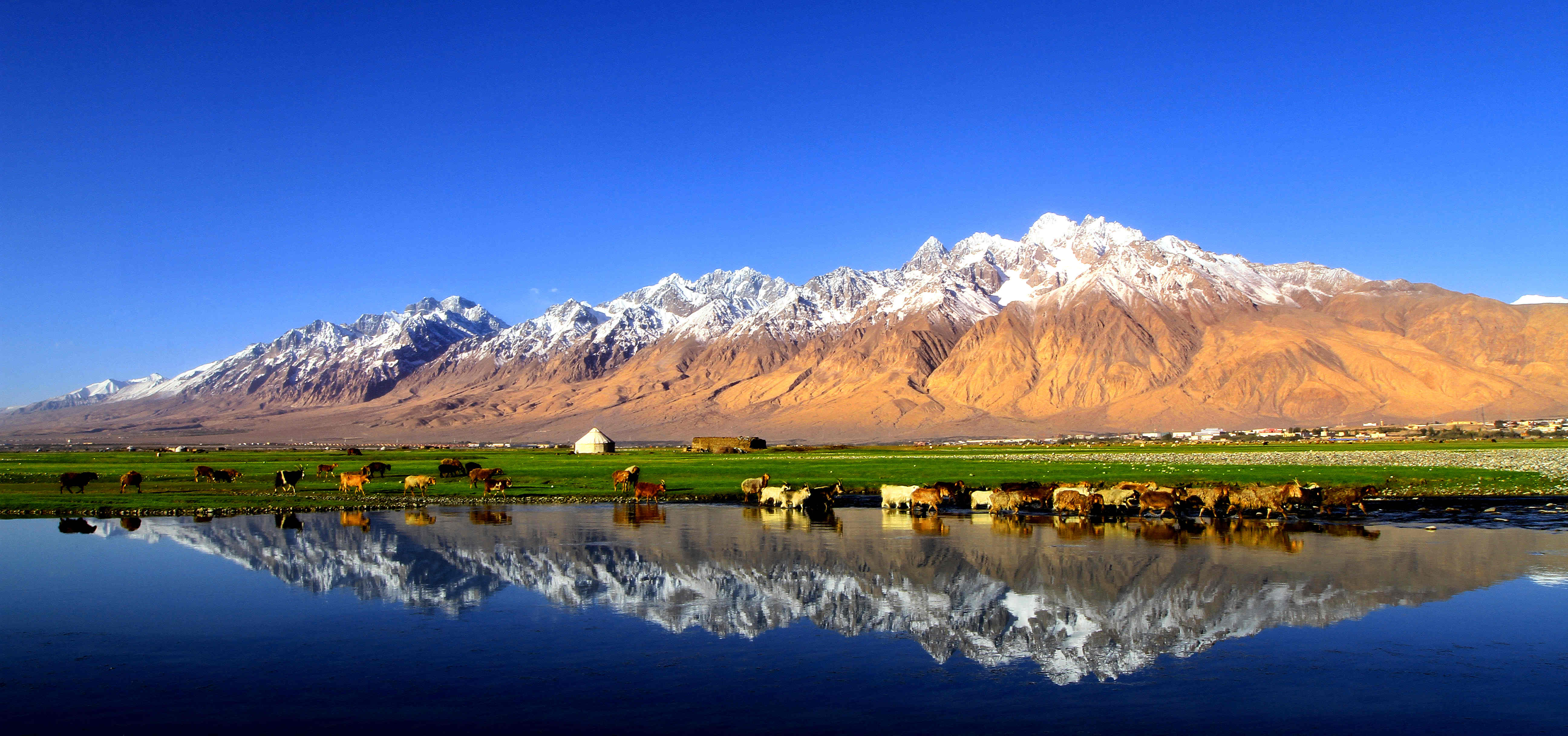 1755847117388490.jpeg 新疆天山天池景區(qū).jpeg