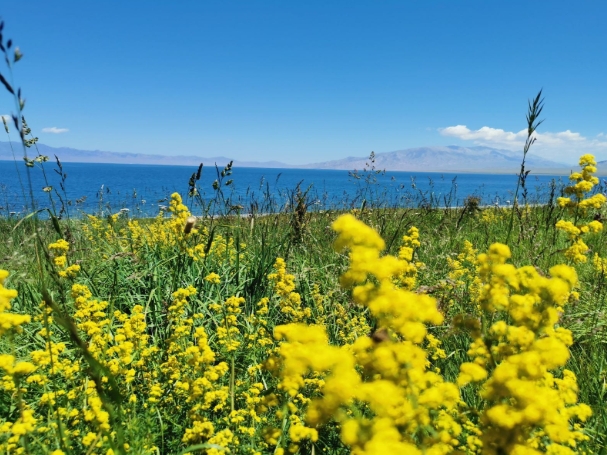 1755847193216428.png 新疆天山天池景區(qū)電子票管理系統(tǒng)優(yōu)點.png