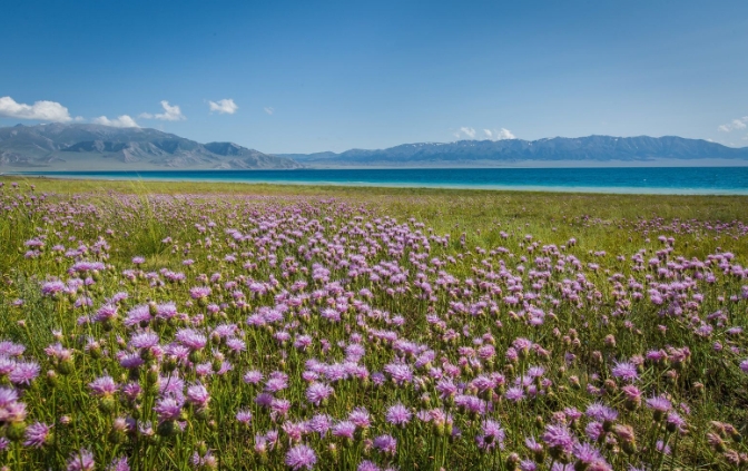 1755855498520143.png 新疆那拉提草原景區多業態管理系統多少錢.png