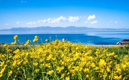 1755855532665388.png 新疆那拉提草原景區多業態管理系統功能.png